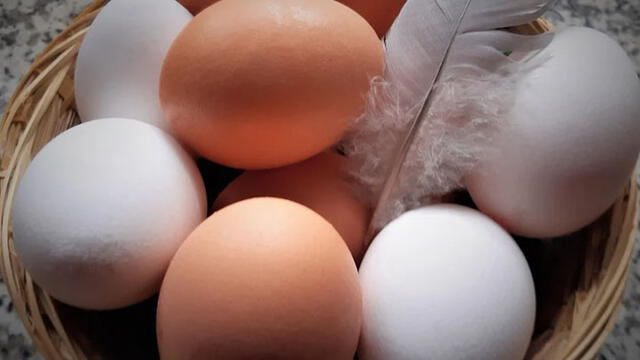 ¿Qué pasa si me como un huevo pasado? Foto: web 'Publicdomainpicture'.
