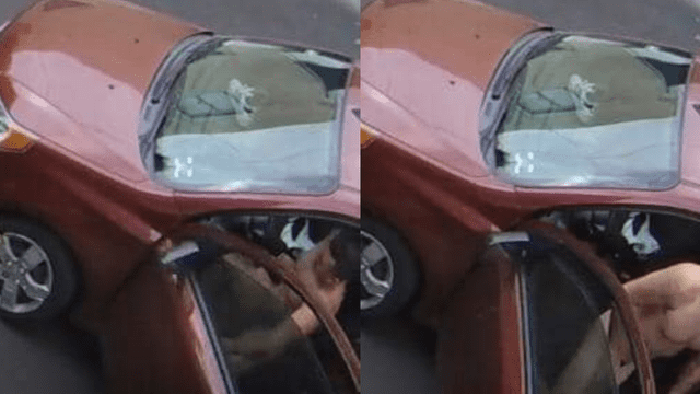 El hombre ya fue identificado por las autoridades, gracias a la placa de su auto Sedan color vino. (Foto: Difusión)