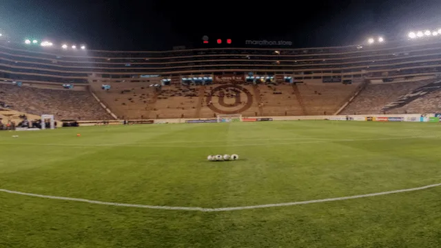 Copa Libertadores 2019: prensa extranjera destaca planta que nació en butaca del estadio Monumental.