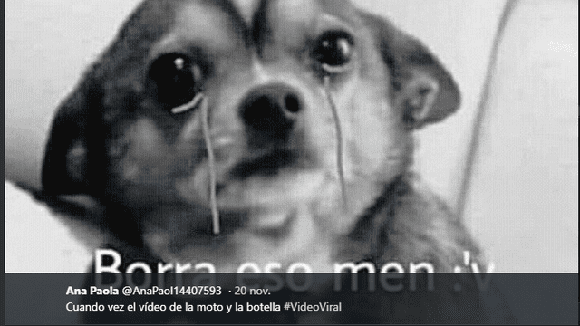 Facebook: si viste el video viral de la moto entenderás sus asquerosos memes [FOTOS]