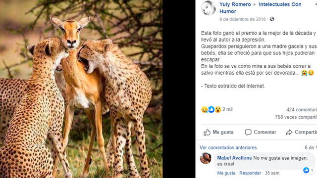 Viral es publicado en Facebook desde el 2017, aproximadamente.