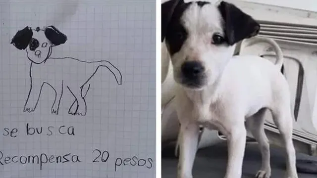 Niñas buscan a su perrito con un dibujo y recompensa de 20 pesos hasta encontrarlo