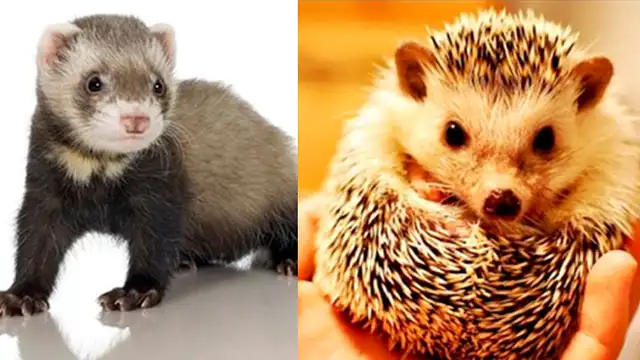 20 regalos de San Valentín para hombres y mujeres