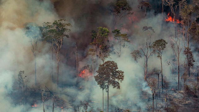 Incendio en el Amazonas