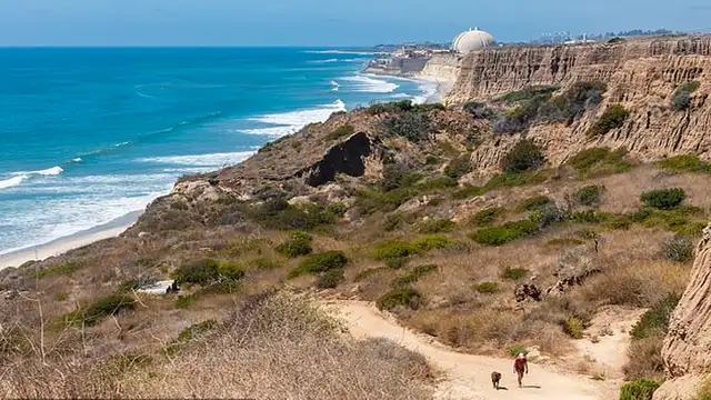 Estados Unidos – animales – playa - muerte