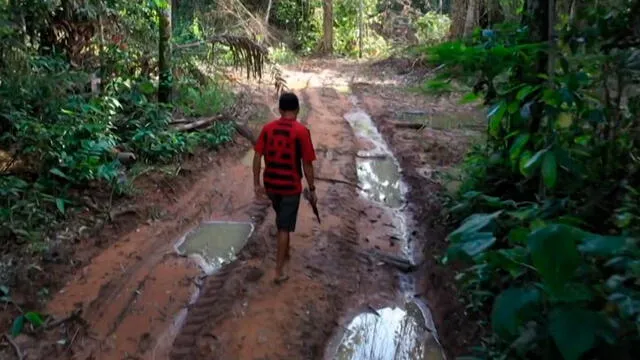 Jair Bolsonaro ha hecho oídos sordos ante la alerta por deforestación en Brasil.