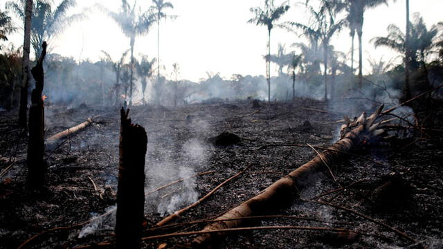 Incendio en la Amazonía es catalogado como uno de los peores en los últimos cinco años. Foto: Reuters.