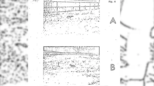 Documentos desclasificados revelan siniestros experimentos que la CIA realizó con perros