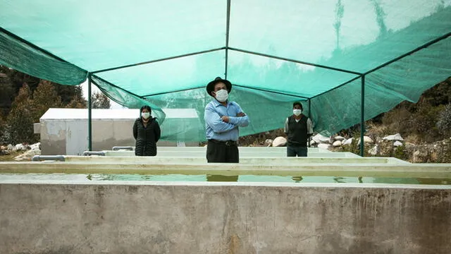Eusebio Quito, productor agrario. Foto: Midagri