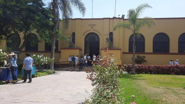 Basilosaurio, UNMSM, Museo de Historia Natural, Mario Urbina, Rodolfo Salas, descubrimiento