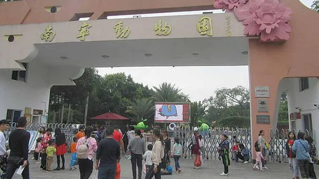 Internautas condenaron el caso de maltrato animal dentro del zoológico de Nanning (China). Foto: Difusión
