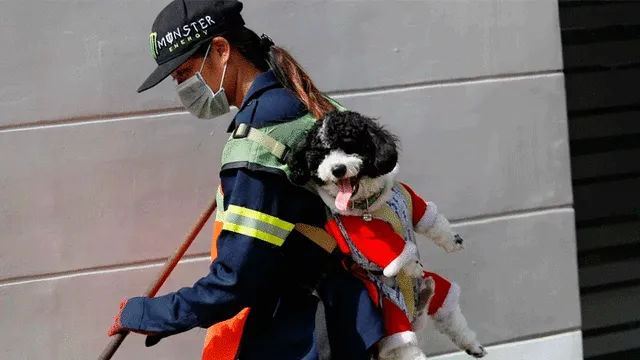 Barrendera y su perro se vuelven viral en redes sociales. Foto: Reuters