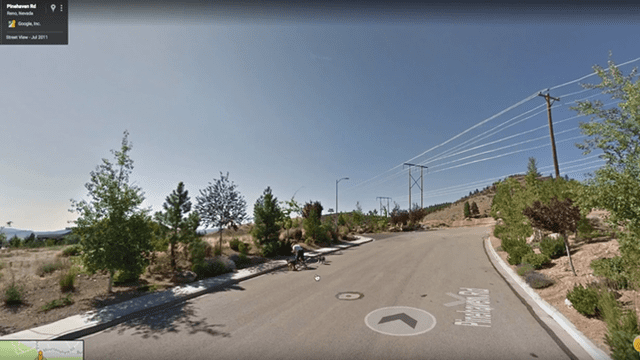 Google Maps: Dos perros fueron captados en el momento en que casi tumban a ciclista [VIDEO]