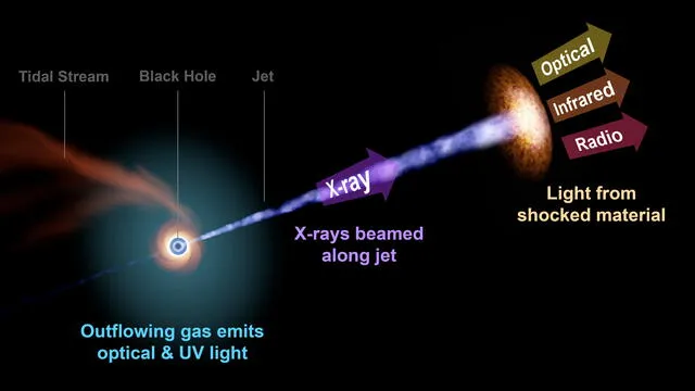 Emisiones electromagnéticas durante un evento de interrupción de marea de un agujero negro. Foto: ZTF / R. Hurt (Caltech / IPAC)