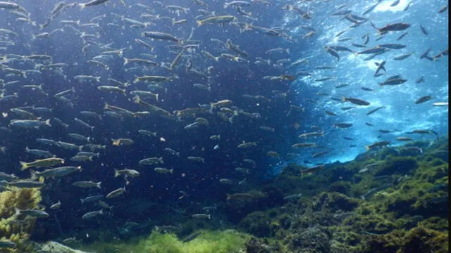Arequipa: Declaran como maravilla natural a laguna Mamacocha [FOTOS]