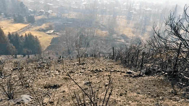 Argentina – incendio – coronavirus - policía