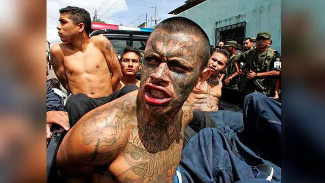 Las pandillas de la Mara Salvatrucha (MS-13) han atormentado a las regiones de centro y norteamérica. Foto: Difusión.