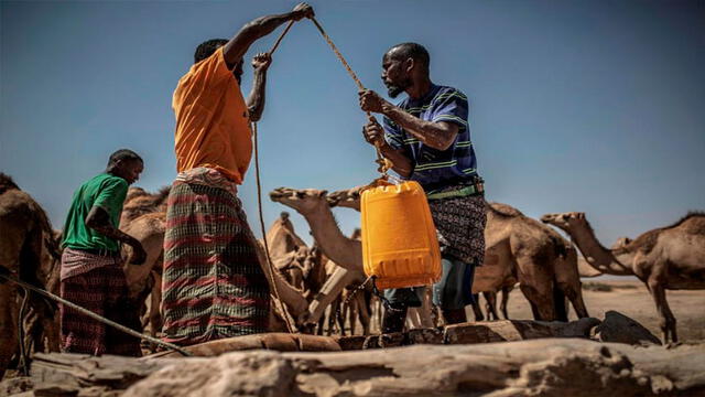 Sequía en África.
