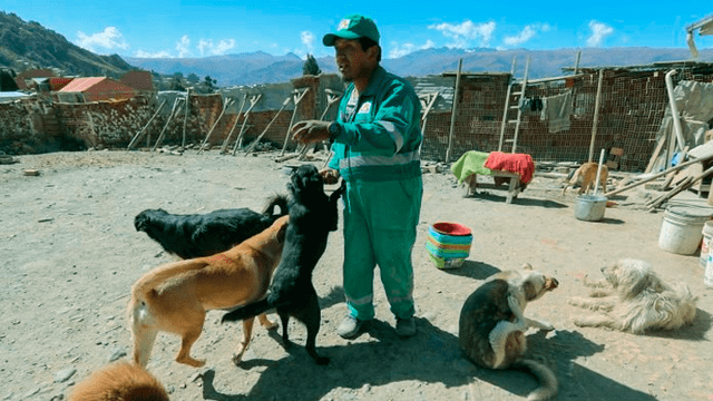 Bolivia – animales – mascotas – coronavirus – maltrato animal