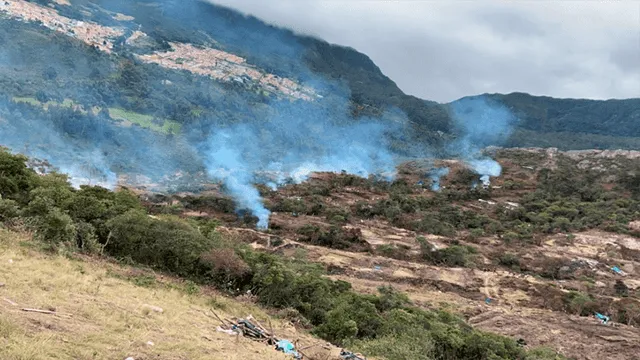 Colombia – Medio ambiente – tala ilegal