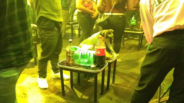 Facebook: Dueños ingresaron a su perro a discoteca y lo dejaron cuidando su mesa [FOTOS]
