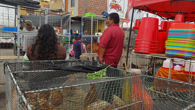 Tacna: animalista se enfrentó a comerciantes de cachorros pero venta continúa [FOTOS Y VIDEOS]