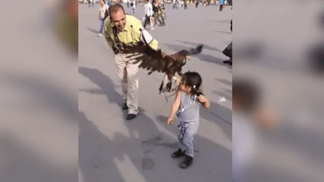 Facebook viral: niña intenta tomarse foto con un águila y se lleva el susto de su vida [VIDEO]