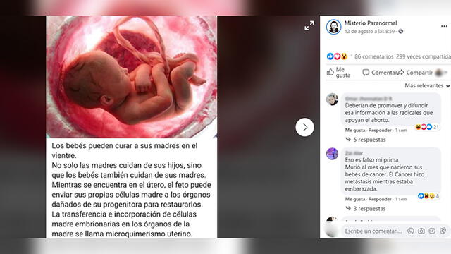 Es impreciso que el microquimerismo fetal “cure los órganos” de las madres. Foto: captura en Facebook.