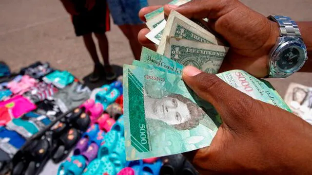 Dólares en Venezuela. Foto: AFP.