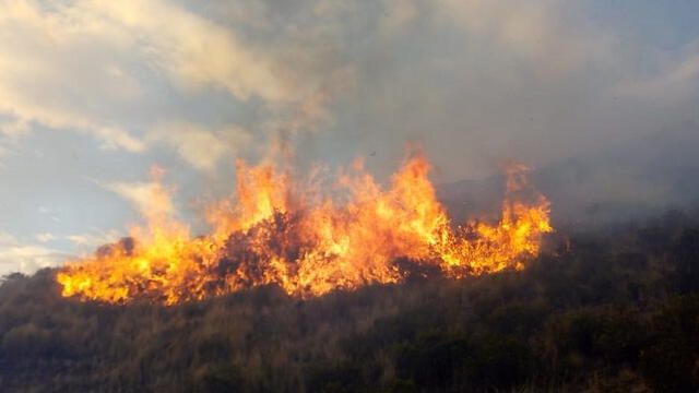 Cusco: Bomberos tratan de controlar incendio forestal cerca a la ciudad [VIDEO]
