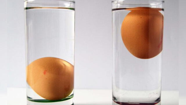 Begrænset Modtager maskine mønt Cuánto duran los huevos y cómo saber si están buenos o malos | Salud | La  República