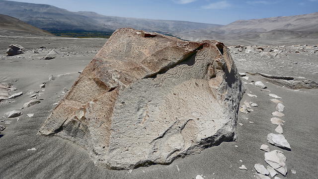 Arequipa: Toro Muerto para la humanidad