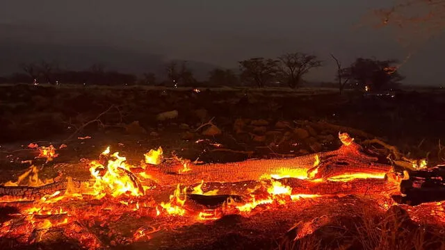  Catástrofe por incendios forestales en Hawái. Foto: Univisión   