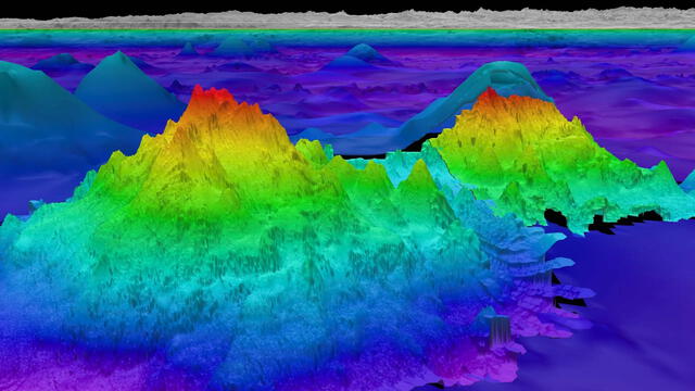 Según el Schmidt Ocean Institute, estos montes submarinos son volcanes extintos parte de las 100 mil montañas submarinas distribuidas en todo el mundo. Foto: Schmidt Ocean Institute.   