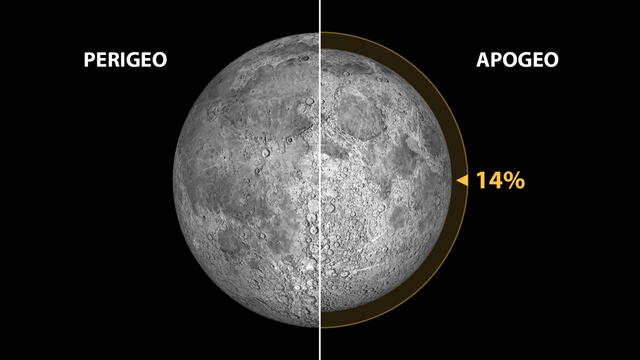 Cuando la Luna se ubica en su punto más cercano a la Tierra se denomina perigeo. Foto: Instituto de Astrofísica de Canarias   