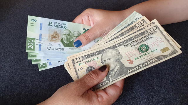  En esta nota podrás consultar los datos actualizados del precio del dólar en México. Foto: difusión   