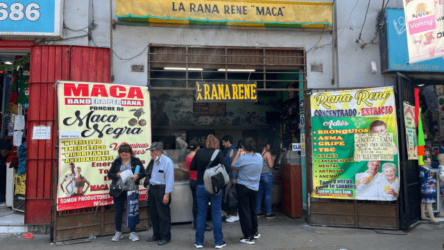 Extracto de rana, Gamarra, Lima