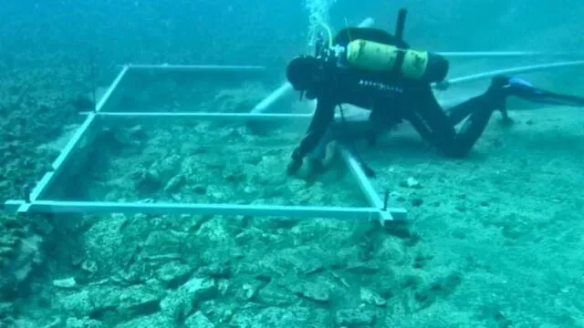  Un buzo realiza investigaciones sobre la carretera sumergida localizada frente a la isla de Korčula. Foto: University of Zadar.    