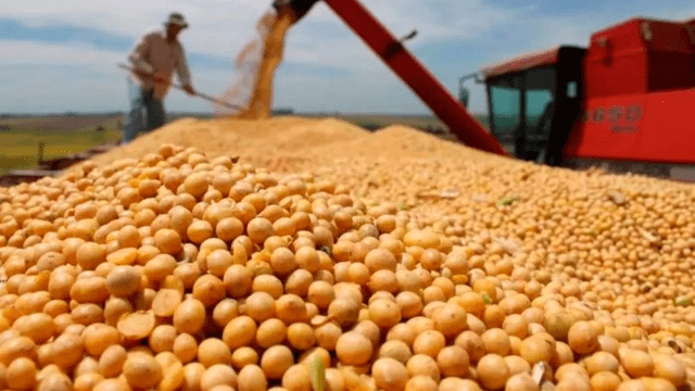  Las ventas brasileñas al exterior de productos del agronegocio alcanzaron USD 15,20 mil millones en junio de 2024. Foto: Actualidad Avipecuaria.    