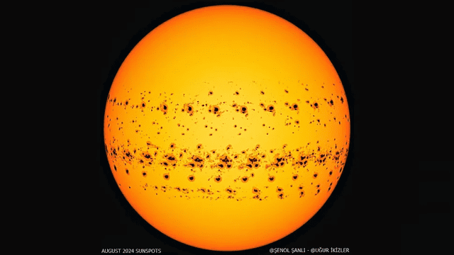  En agosto de 2024, la cantidad de manchas solares alcanzó su máximo en 23 años. Foto: SDO   