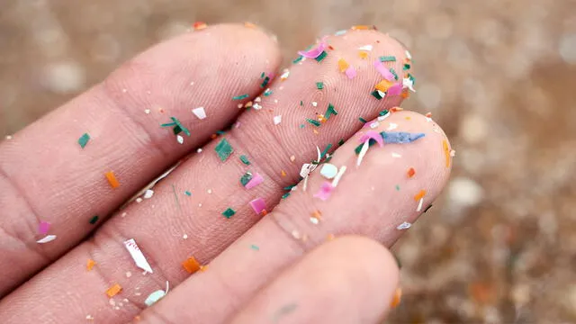 Los microplásticos son pequeñas partículas de plástico, de menos de 5 milímetros de tamaño. Foto: Pixabay Los microplásticos son pequeñas partículas de plástico, de menos de 5 milímetros de tamaño. Foto: Pixabay