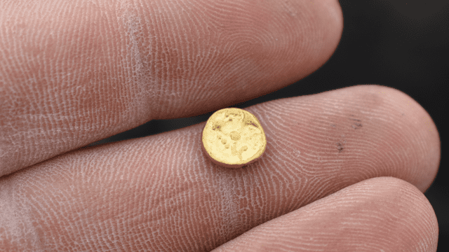 Durante la excavación se encontraron cientos de monedas de oro y plata. Foto: Tomas Mangel Durante la excavación se encontraron cientos de monedas de oro y plata. Foto: Tomas Mangel