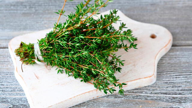  El tomillo es una planta utilizada como remedio casero por sus propiedades medicinales. Foto: IStock   
