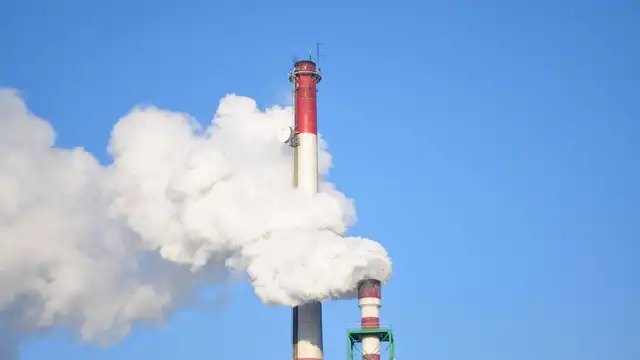 Earth’s Black Box, con 16 metros de largo, está diseñado para resistir fenómenos naturales y vandalismo, convirtiéndose en un símbolo de la lucha contra la crisis climática.