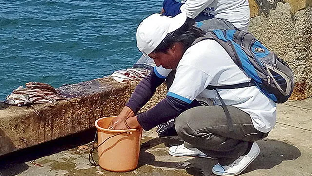 Ponen en marcha proyecto para el ordenamiento y uso de las pesquerías en Perú y Ecuador