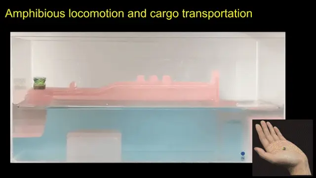 Así sería el comportamiento de este robot dentro de superficies líquidas.