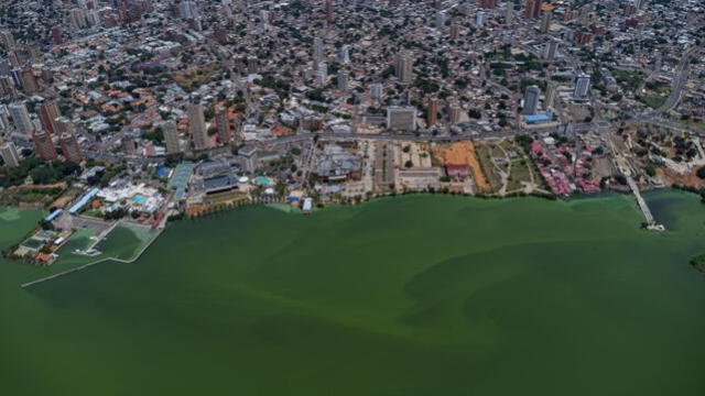 A pesar de ser el estuario más importante de Venezuela, el Lago de Maracaibo presenta un alto grado de contaminación que afecta a los lugareños como a su fauna. Foto: EFE
