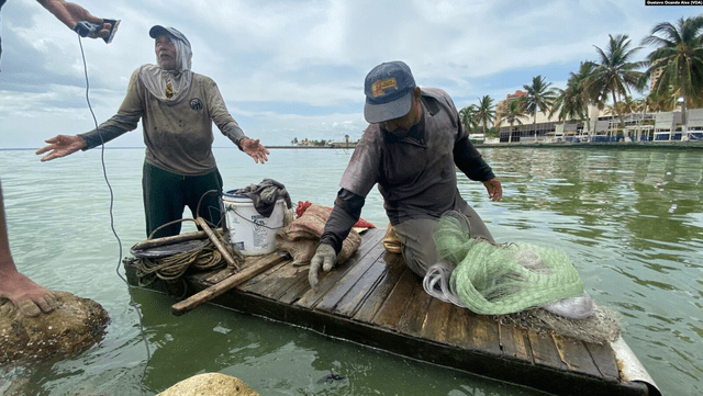  Pescadores del lago de Maracaibo se ven sumamente afectados por la contaminación del lugar. Foto: Voz de América 