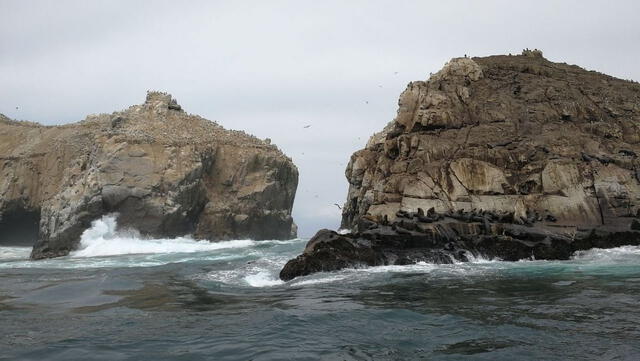 Esta isla se ubica a 25 minutos de Lima. Foto: Tripadvisor 