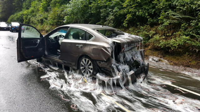  Así terminó una carretera en Oregon, Estados Unidos, luego de que un camión con mixinos se volcara. Foto: National Geographic   